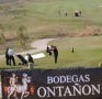 golfontanon (74).JPG